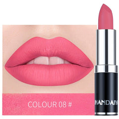 HANDAIYAN Sexy Matte Lipstick Makeup Silver 12 Color Nude Long Lasting Pigment Waterproof Nutritious Velvet Lips Stick  TSLM1