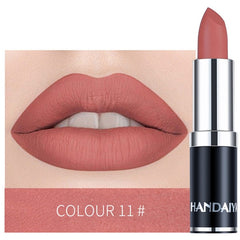 HANDAIYAN Sexy Matte Lipstick Makeup Silver 12 Color Nude Long Lasting Pigment Waterproof Nutritious Velvet Lips Stick  TSLM1